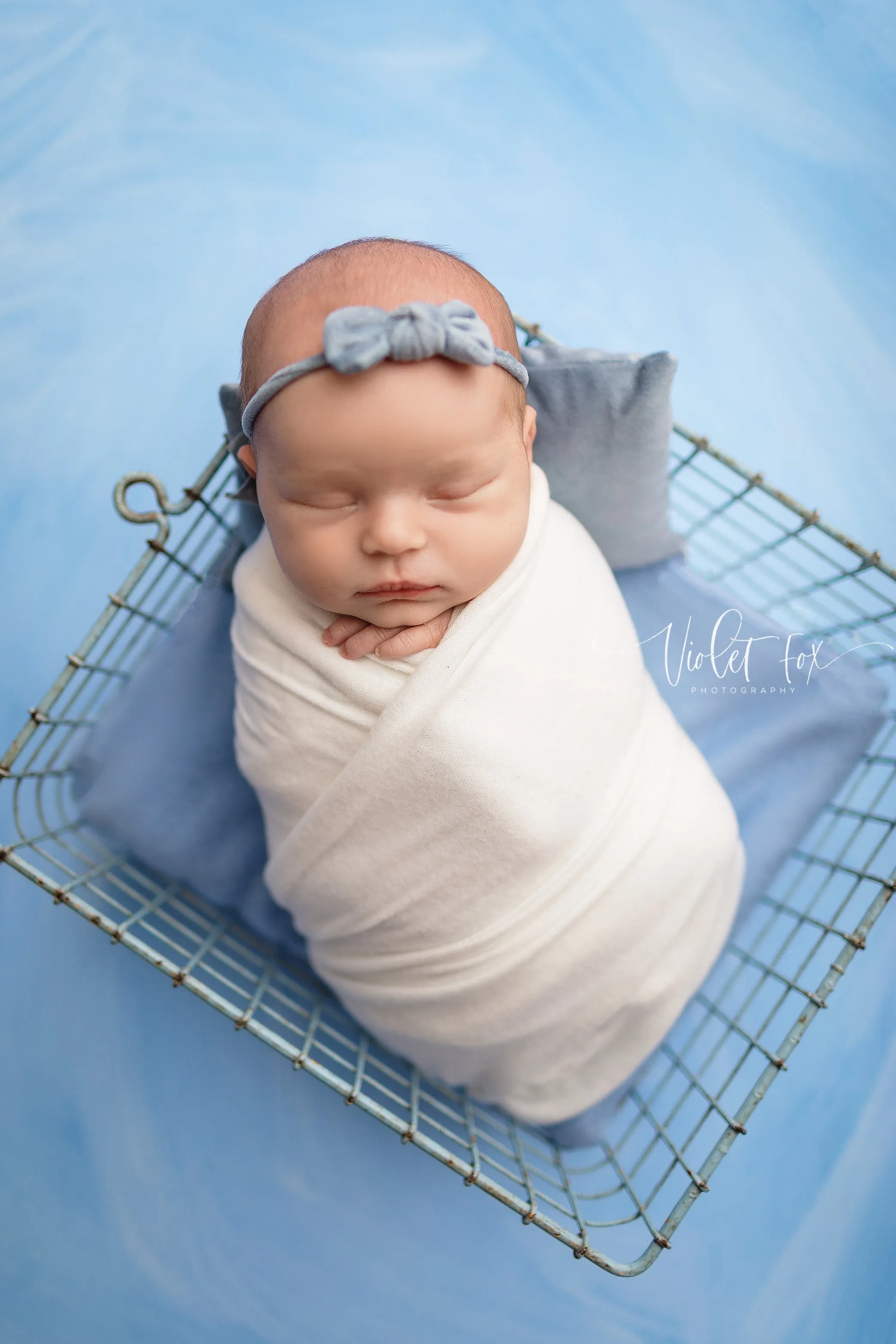 Painted Light Blue - Petite