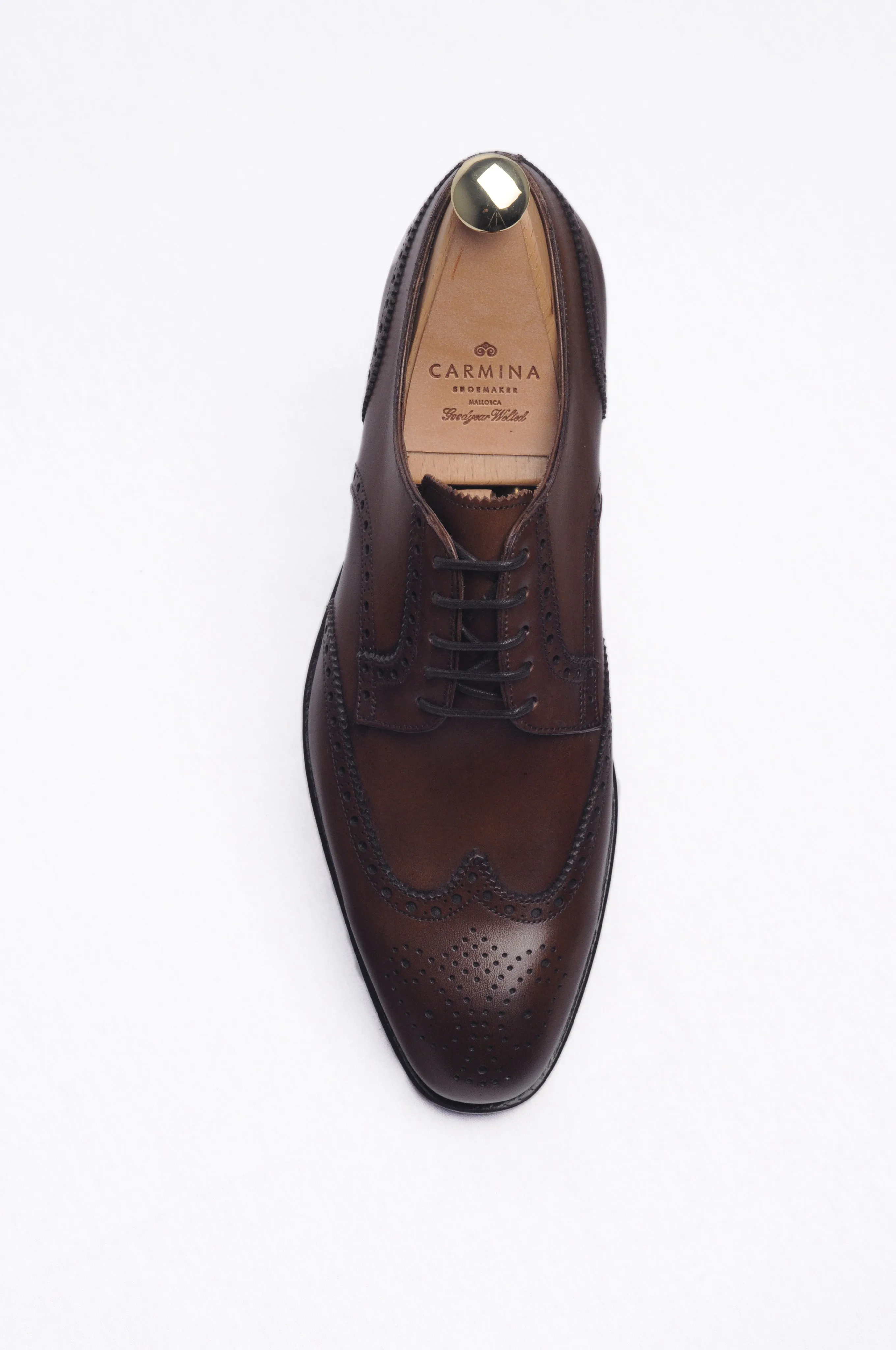 Wingtip Derby 80254 Rain